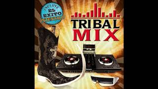 Tribal Mix quot20 Mixesquot Disco Completo [upl. by Atalee377]