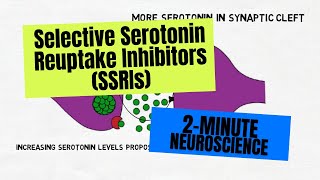 2Minute Neuroscience Selective Serotonin Reuptake Inhibitors SSRIs [upl. by Ainuj]