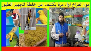 مول لفراخ اكتشف اقوى خلطة لتحفيز الطيورcanto natura [upl. by Ayrolg]