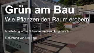 Grün am Bau Wie Pflanzen den Raum erobern [upl. by Uziel]