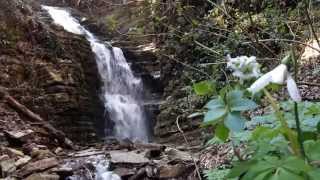 Calvello Pz  La cascata nei pressi della sorgente quotAcqua Sulfureaquot video Giovanni Larocca [upl. by Anial]