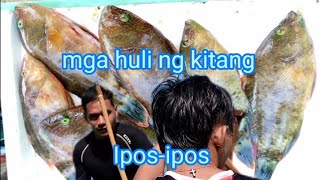 nanghuli nga isda gamit Ang palangrekitang [upl. by Moon]