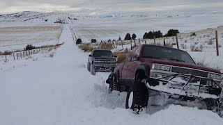 Montana Off Road Adventures 97 and 94 OBS Chevys Snow Wheeling On A Back Country Road [upl. by Ladnor257]