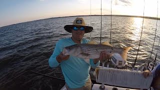 Catching Rockfish with Live Bait on Susquehanna Flatts EP48 [upl. by Katalin]