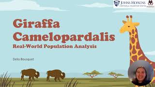 Giraffa Camelopardalis Linear Algebra Project [upl. by Montagu969]