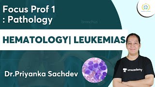 Hematology  Leukemias  Focus Prof 1  Pathology  Unacademy Future Doctors  DrPriyanka [upl. by Dessma]