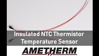 Insulated NTC Thermistor Temperature Sensor [upl. by Ifar]