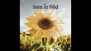 Som Är Död  Warmth Of The Sun Full EP 2024 [upl. by Myo518]