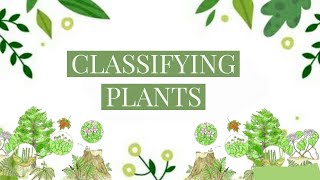 How are Plants classified  Science  Classification of Plants [upl. by Notwal]