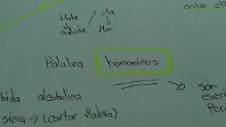 Palabras homófonas y homonimas [upl. by Odom]