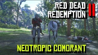 Red Dead Redemption 2 Neotropic Cormorant Location [upl. by Sholley]