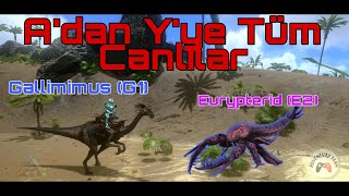 Adan Yye Ark Mobile Canlıları  Eurypterid E3 amp Gallimimus G1 [upl. by Meehyr]