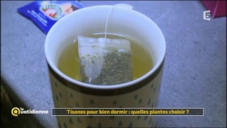 Tisane pour bien dormir  quelle plante choisir   La Quotidienne [upl. by Eimma]