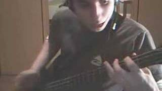 Old video RHCP  Stone Cold Bush Bass Cover [upl. by Paluas]