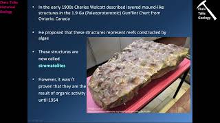 Precambrian Earth and Life History The Hadean and Archean  Part 5 [upl. by Noskcaj]