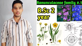 Ranunculaceae family floral formula daigram and Economic importance BSc 2 year [upl. by Roz236]