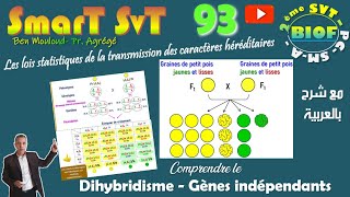 93Lois statistiques 2Gènes indépendants [upl. by Dorotea]