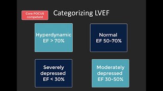 POCUS for LV systolic function [upl. by Ahsekar449]