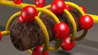 Inductors and Inductance [upl. by Hecht]