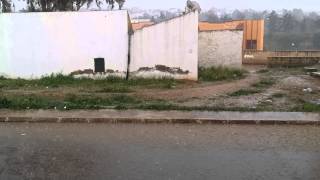 Une pluie soudaine et abondante sur Mostaganem [upl. by Onaivlis]