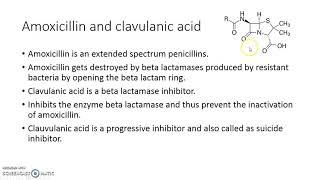 amoxicillin and clavulanic acid interaction [upl. by Enayr]