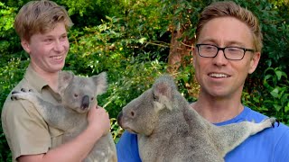 I Cuddled Koalas With Robert Irwin [upl. by Giraldo]