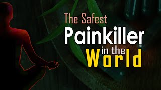 The Safest Painkiller in the World [upl. by Meg]