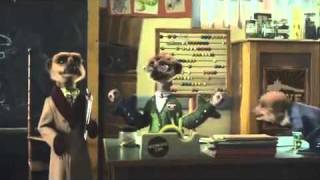 New Compare the Meerkat Advert  Compare The Market Com Funny Advert  Simples [upl. by Greggory61]