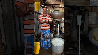 Milk to Ghee making process shorts ghee [upl. by Blythe418]