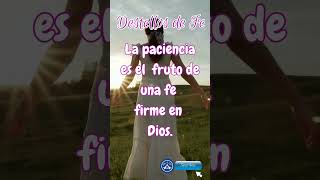 Reflexiones que Fortalecen tu Fe ✨🙏 amoryfe amor amordedios [upl. by Colis]