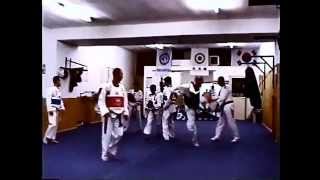 TAEKWONDO HENSIES ABFT  WTF  2002  2004 TRAINING MOTIVATION [upl. by Finnigan]