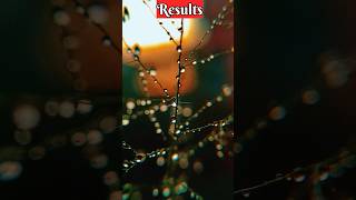 music macro mobilephotographytips viralvideo shotsviral top millionviews view likeforlikes [upl. by Noman]