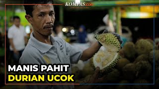 Manis Pahit Durian Ucok Medan [upl. by Phionna]