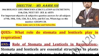 What role do stomata and lenticels play in respiration [upl. by Yeltrab]