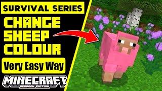 23  How to Change Sheep Colour in Minecraft  Survival Series [upl. by Aleuqahs]