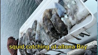 squid fishing at atlona Beach Melbourne squid [upl. by Ahtanoj879]