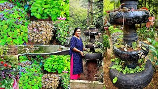 3 ideas for tyre recycling Episcia planting EP 333 [upl. by Oirasec301]