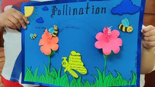 pollination biology [upl. by Mooney]