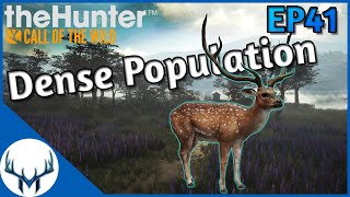 Fresh Start Ep41  theHunter Call of the Wild [upl. by Yelsnya]