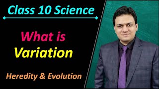 What is Variation Class 10 Science Ch 9 Heredity and Evolution [upl. by Kassaraba]