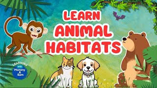 Animal Habitats for Kids  Learn Where Animals Live  Educational Video for Kindergarten [upl. by Simdars948]