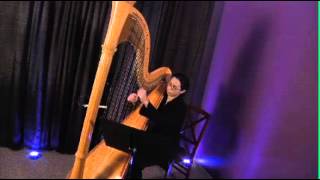 Bridal Chorus from Lohengrin Wagner for Solo Harp [upl. by Einalem536]