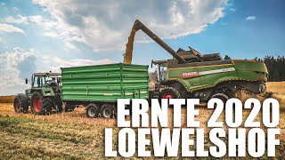 Ernte am Loewelshof 2020  Fendt Mähdrescher [upl. by Otrebliw]