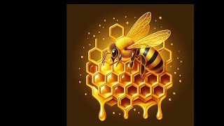 Harvesting Wild Honey SO Satisfying [upl. by Ayocal]