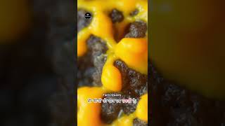 Genius Slime Mold [upl. by Amitie]