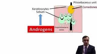 Acne Vulgaris [upl. by Mandell]