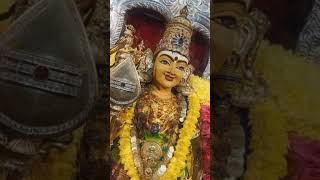 Murugaaaa 🦚🙏🔥🥰 musicalm3h shorts murugan arupadai devotionalsong [upl. by Reisinger943]