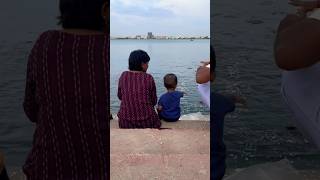 Ameenpur Lake hyderabad feeding food 🐠 karruvlog trending [upl. by Eal]