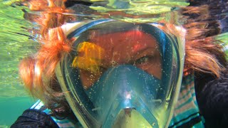 Snorkeling in Cuba Memories Jibacoa resort [upl. by Assillem]