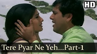 Tere Pyar Ne  Govinda  Raveena Tandon  Rajaji  Udit Narayan  Anand Milind  Hindi Hit Songs [upl. by Maroj]